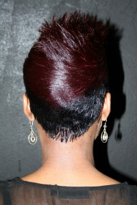 Short sharp cut with a hint of purple. (Back)
