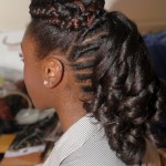 Natural Hair Creative Style 2