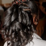 Natural Hair Creative Style 1